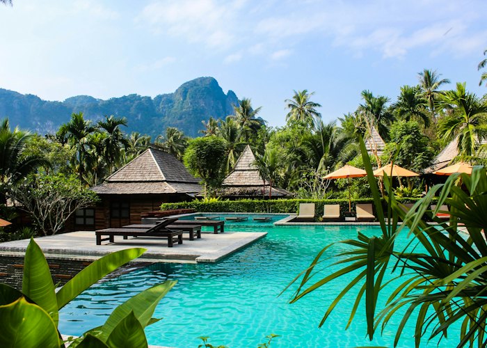 Tropical hotel pool surrounded by palms